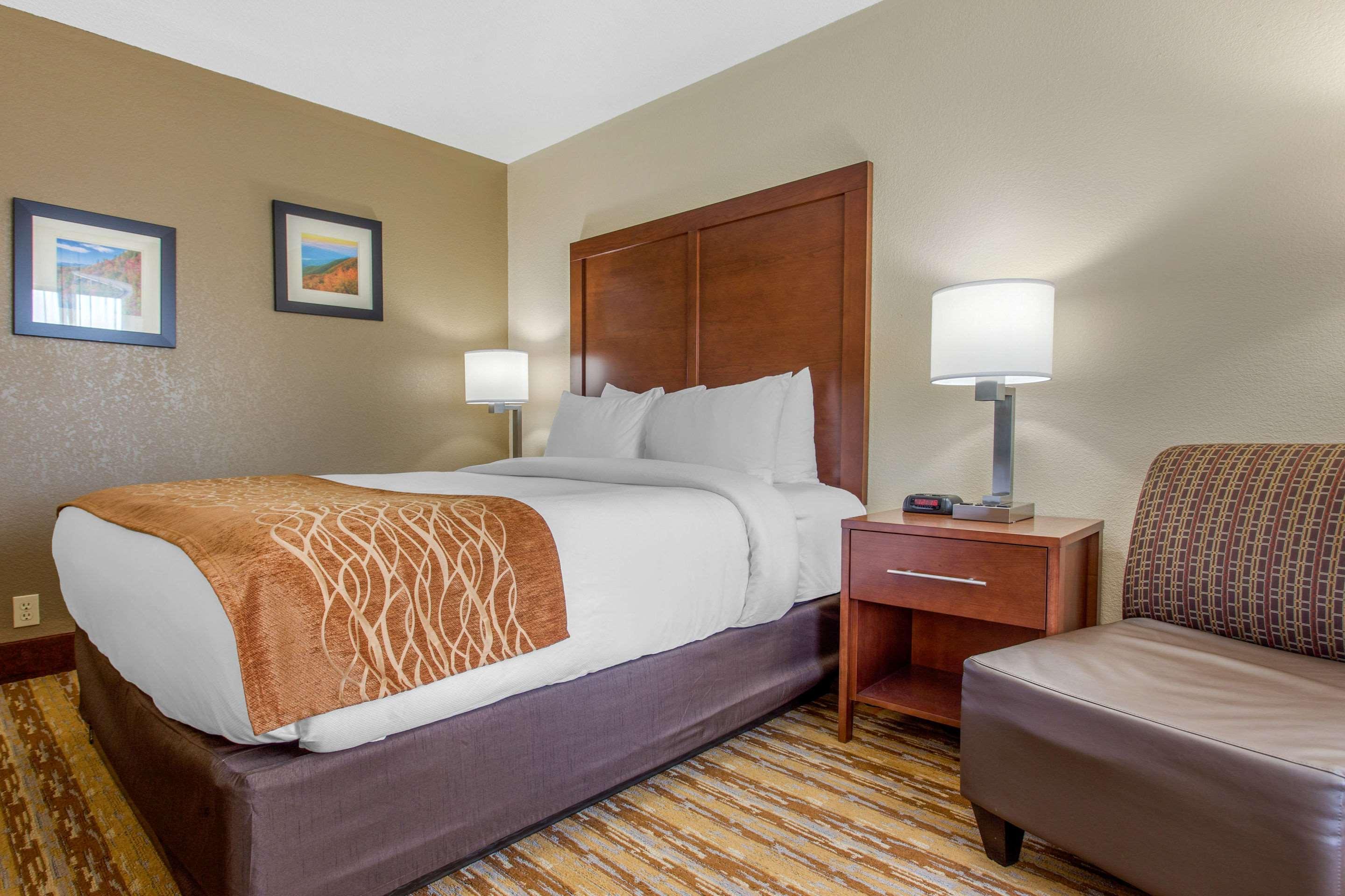 Comfort Inn Asheville East-Blue Ridge Pkwy Access Екстер'єр фото