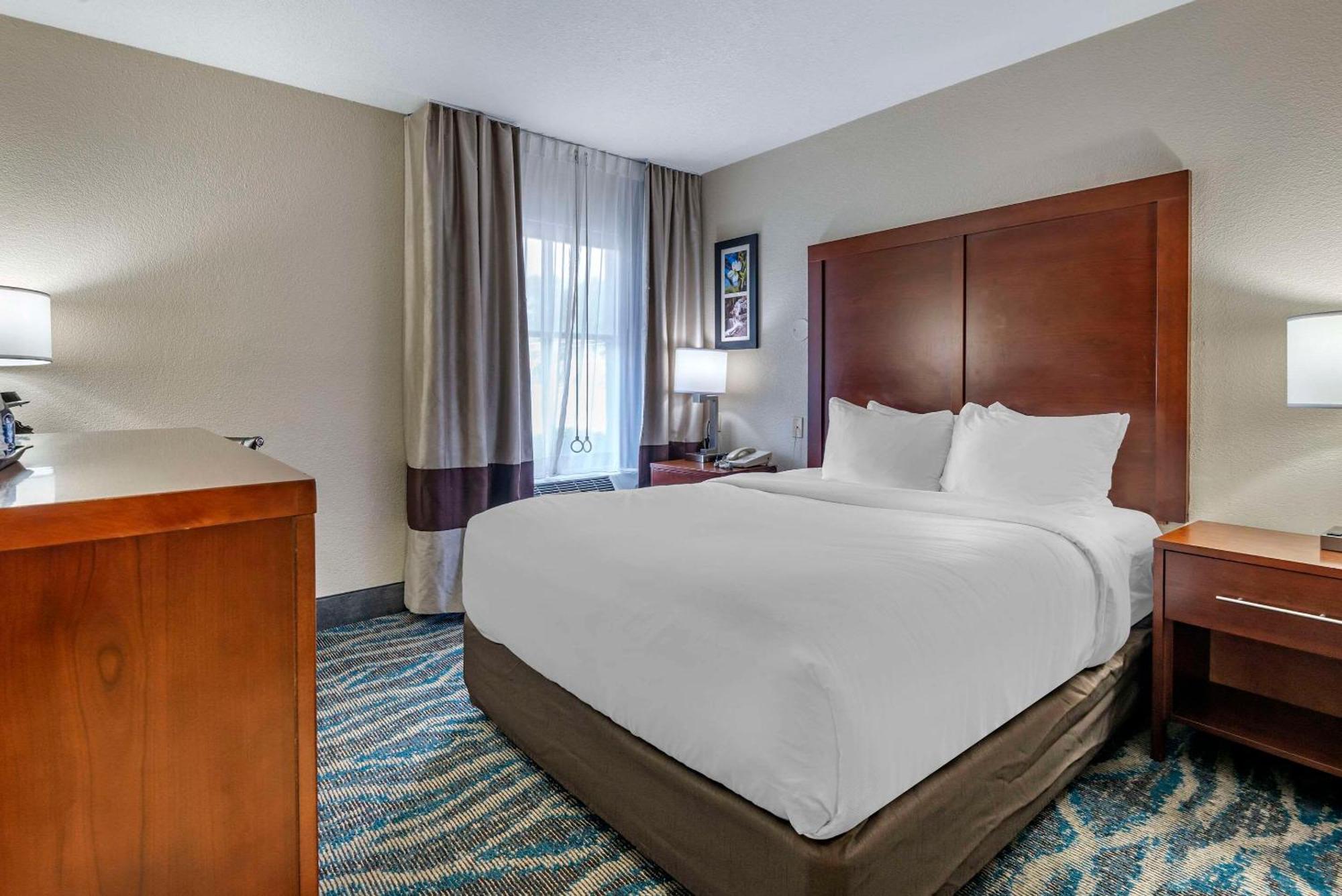 Comfort Inn Asheville East-Blue Ridge Pkwy Access Екстер'єр фото